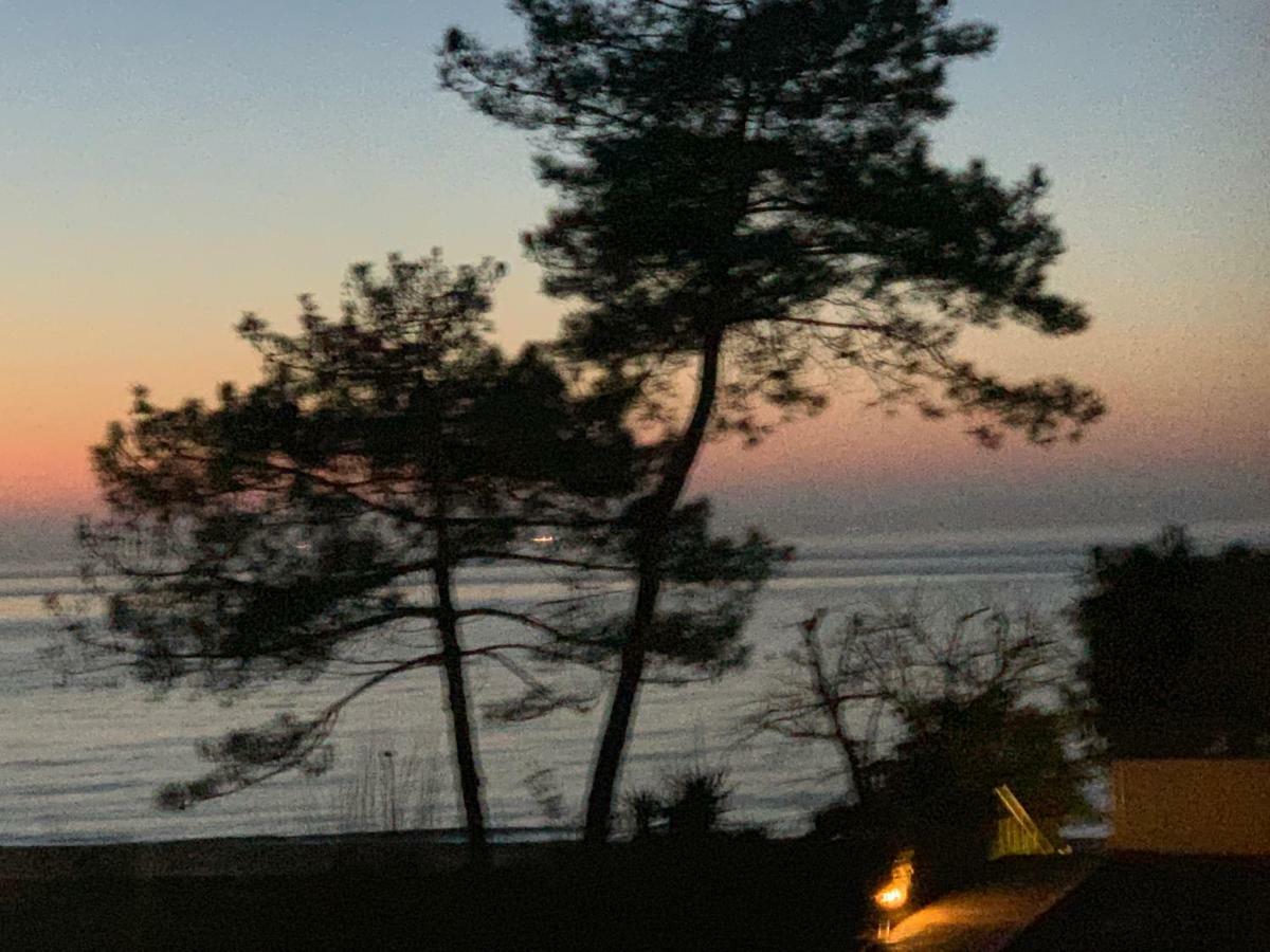 Le Panoramic Appartamento Arcachon Esterno foto